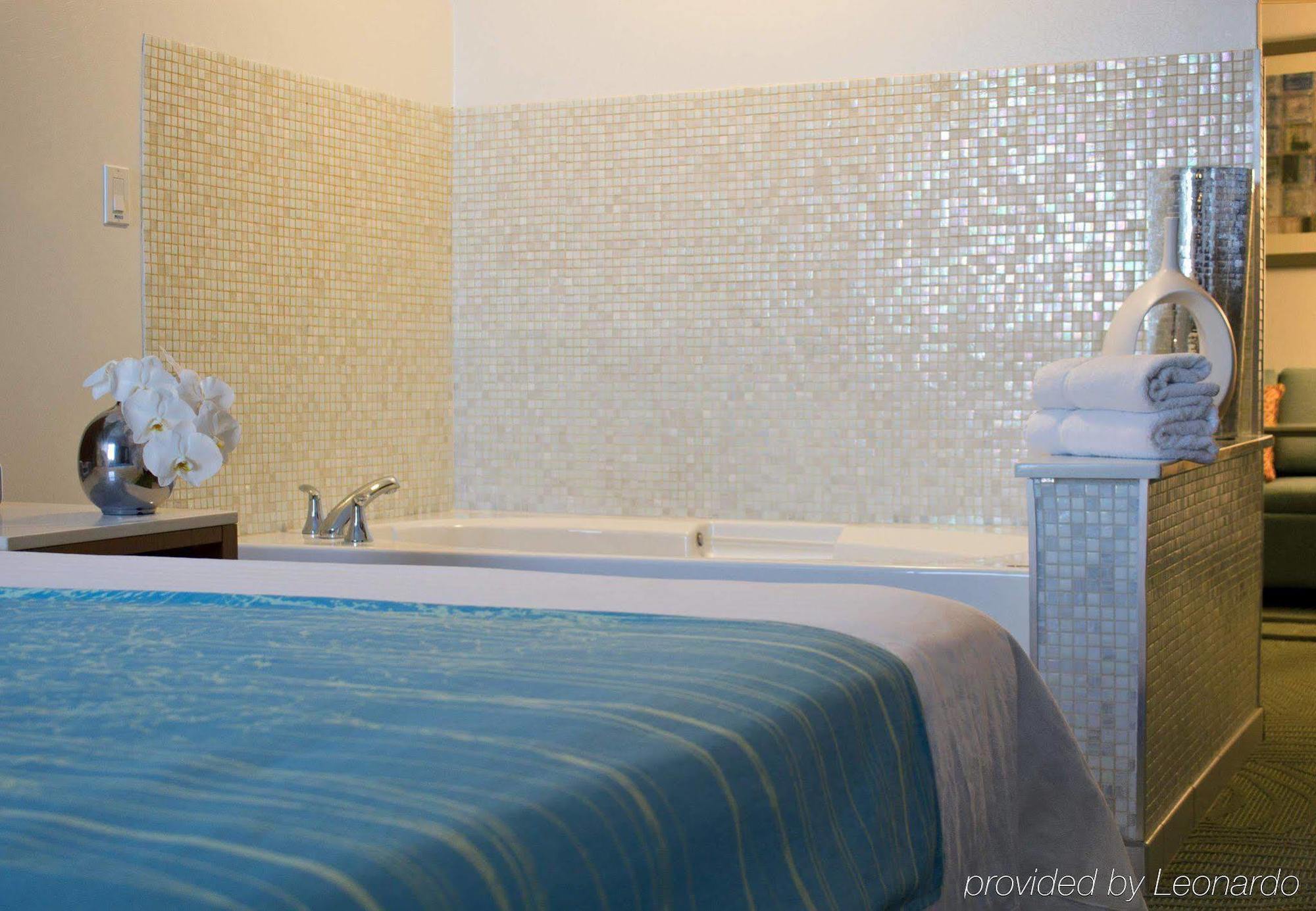 Springhill Suites Cincinnati Airport South Флоренция Номер фото